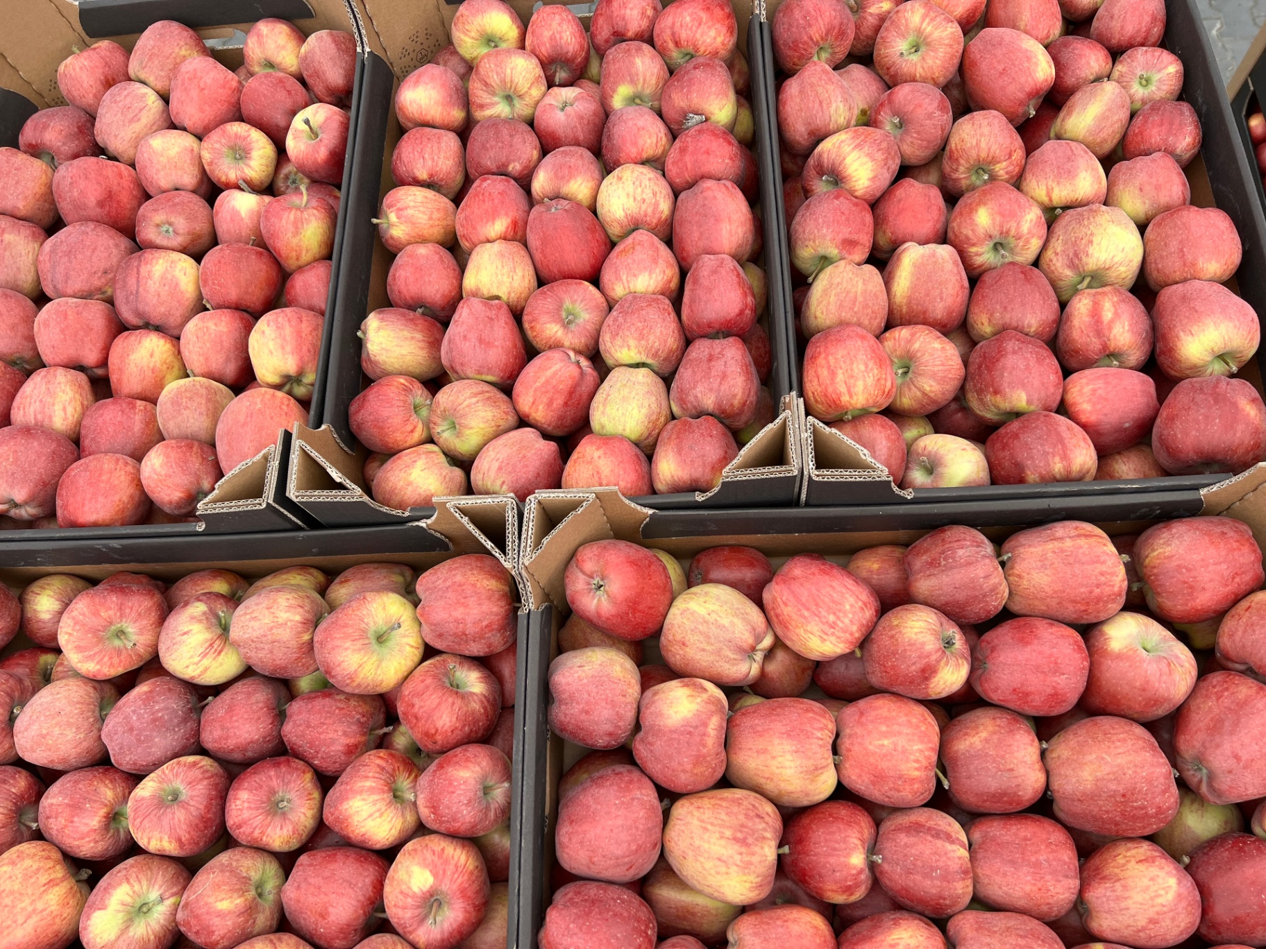 Red Delicious